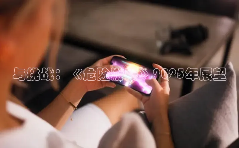与挑战：《危险游戏》2025年展望